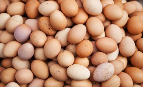 افزایش قیمت تخم مرغ قهوه ای